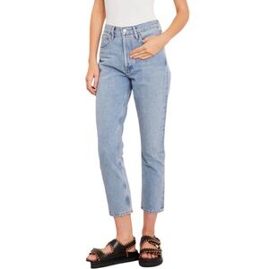 AGOLDE Riley High Rise Straight Leg Dimension Light Medium Blue Size 29 NEW NWT